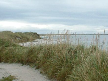 Otters Wick From Near Saville.