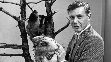 David Attenborough