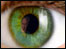 eye