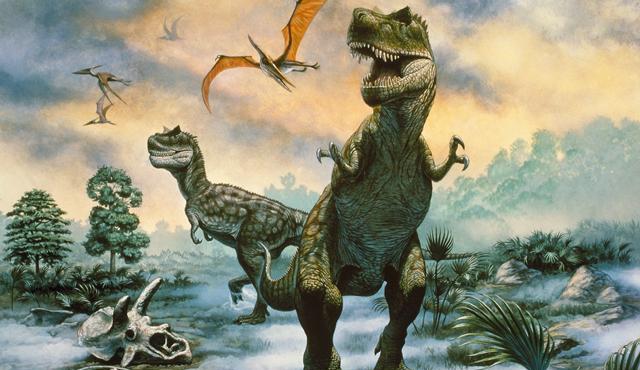 The tyrannosauridae were huge carnivores (image: Mark Hallett Paleoart / SPL)