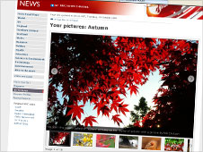 Your pictures of autumn