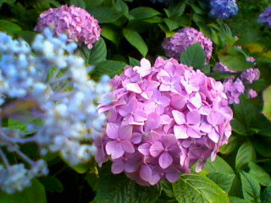 It doesn't really have a title