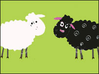  قصه های زندگی