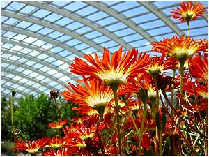 National Botanic Garden of Wales