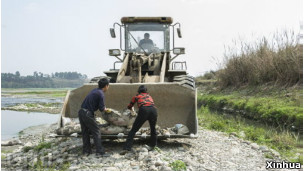 四川發現千隻死鴨