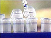 Variante genética foi descoberta em laboratório