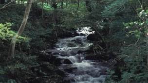 River