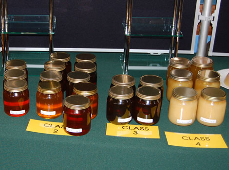 Callington Honey Fair