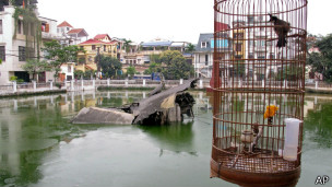 Mảnh máy bay B-52 ở Hà Nội