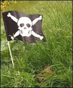 Flag indicating dog mess