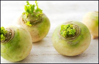 turnip.jpg