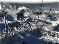 Winter in Brecon Beacons