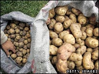 Liên hiệp quốc coi là 2008 là năm kỷ niệm củ khoai tây