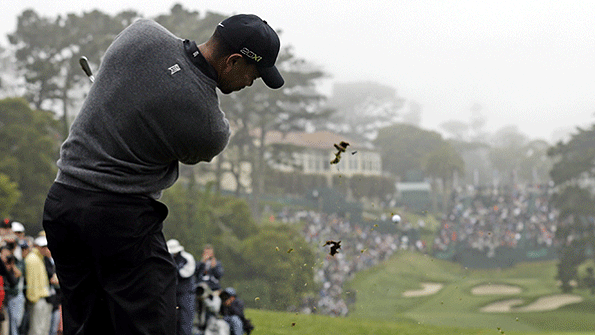 Tiger Woods