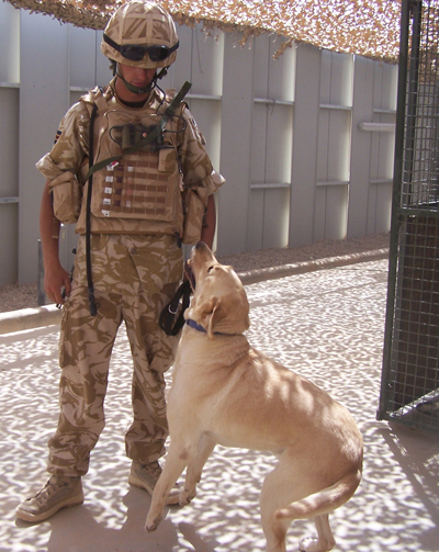 براني او برتانوى سرتيرى 