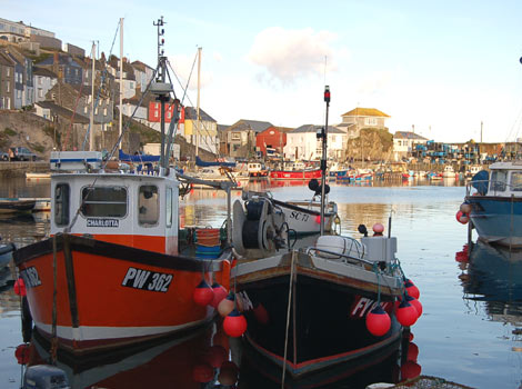 Mevagissey Harbour by Jim Lynn