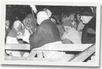 Merched Beca yn ymosod ar iet