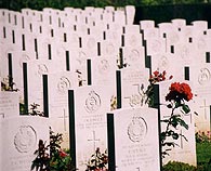 British war cemetery at Bayeux in France