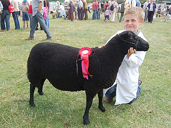 Gerallt Hughes o'r Ffridd, Nantlle ddaeth yn gyntaf yng nghystadleuaeth y Bugail Ifanc.