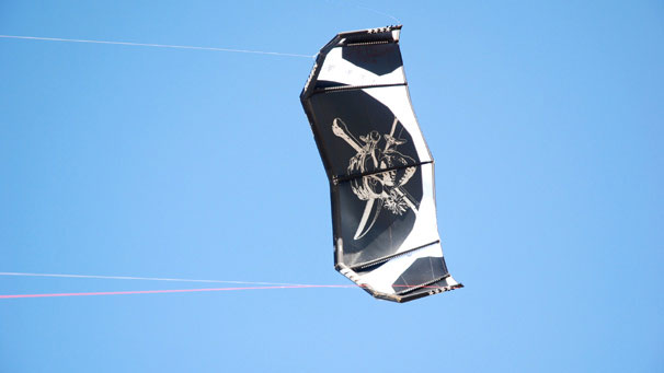 ... some can be fairly distinctive!