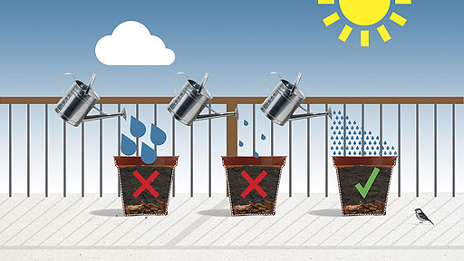 Three pots showing too little, too much and just enough water.