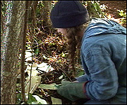Carol saws away part of the tree stump