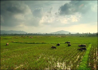 Cảnh trên đường từ Hà Nội ra Hạ Long