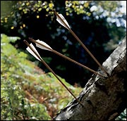 Nottinghamshire logo