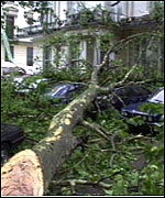 Storm damage