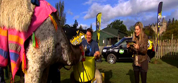 Naomi Wilkinson asking Steve Backshall questions with a camel in front of him