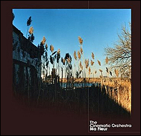 جلد آلبوم مه فلور