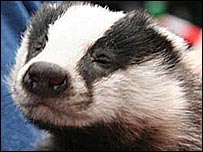 Secret World (Graham Bloomfield)