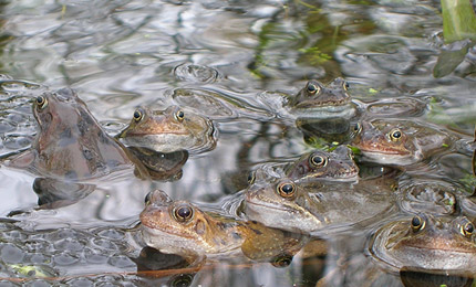 BBC Radio Foyle - Breathing Places Barn Own Gallery Gallery