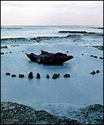 Picture: Seahenge: link