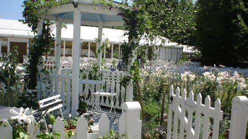 A Scandinavian Summer