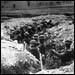 Troops in the trench