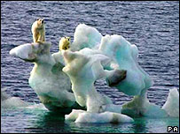 Арктичної криги стає все менше, і в Арктиці відкриваються нові острови