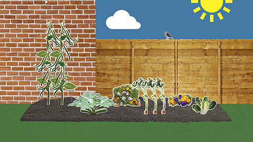 A mixed bed of vegetables and flowers