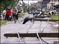 Đường đi sau cơn bão