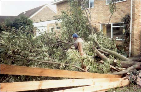 Elizabeth Sharpe's husband clears her fallen oak
