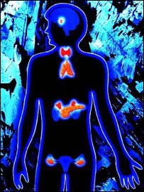 د ښځو شنډوالی