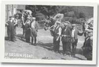 Trip Sasiwn Plant Ysgol Sul Cefnddwysarn