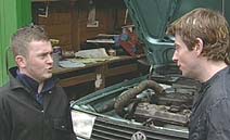 Stevie's back in town