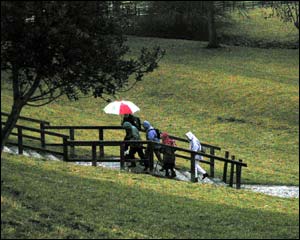 Walkers in the damp Dales