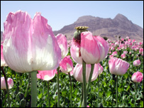 اشتہار واپس لے لیا ہے