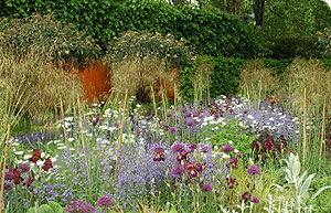 Planting in the Laurent Perrier garden