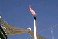 Teimlo gwres y fflam Olympaidd