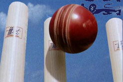 Image: cricket ball and stumps