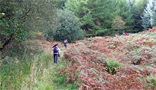 The crew heading up the hill into the next forested area