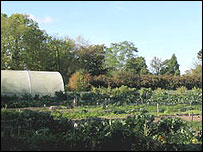 Vegetable plot at the Old Hall Community, East Bergholt